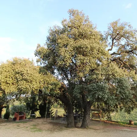 Heredad La Boquilla Alloggio per agriturismo Enguera