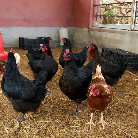Alloggio per agriturismo Heredad La Boquilla
